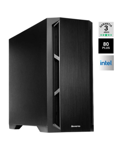 SERVIDOR GDX  ATX XEON E-2334  16GB 2X480GB SSD...