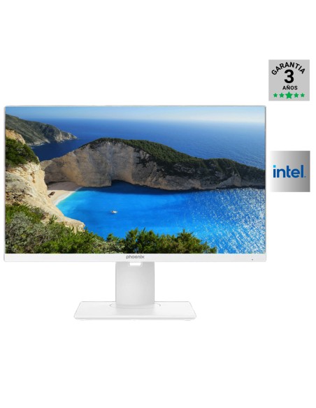 239522 AIOMF 23.8" PHOENIX     I5-14400 16GB   1TB NVME FREE PN: GDX3449 EAN: 1000000003449